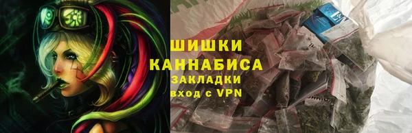 прущие грибы Саяногорск