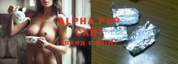 СК Сафоново