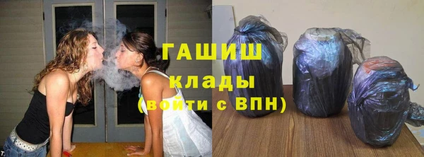 прущие грибы Саяногорск