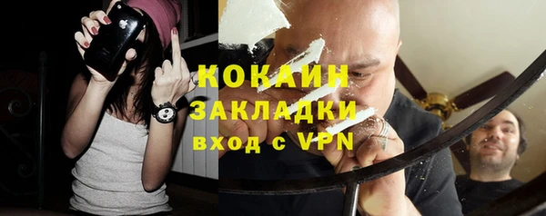 прущие грибы Саяногорск