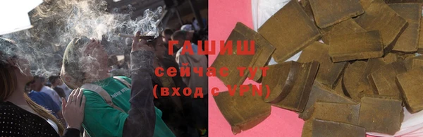прущие грибы Саяногорск