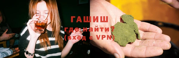 прущие грибы Саяногорск