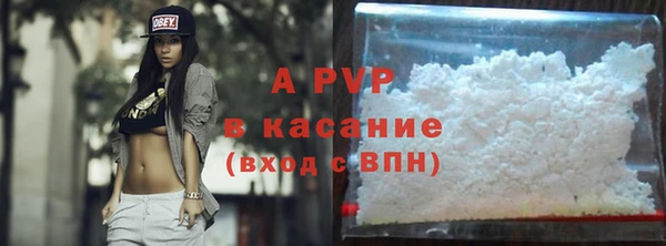 СК Сафоново