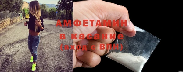 прущие грибы Саяногорск
