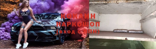 прущие грибы Саяногорск