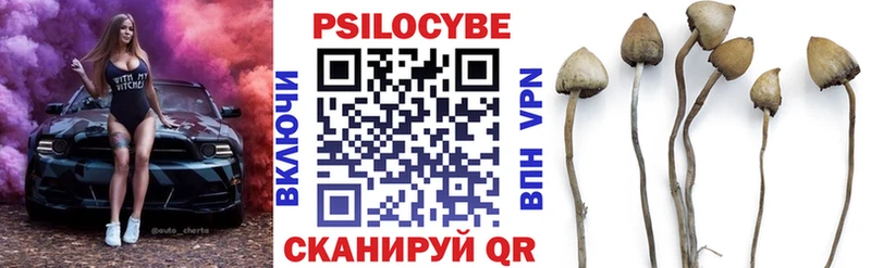Псилоцибиновые грибы прущие грибы Купить закладки Дмитров